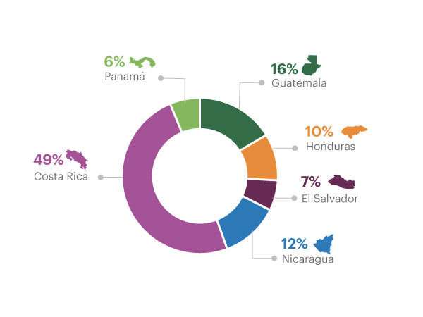 Distribución de clientes PyME con afiliación por país 2016, Guatemala 16%, Honduras 10%, El Salvador 7%, Nicaragua 12%, Costa Rica 49%, Panamá 6%