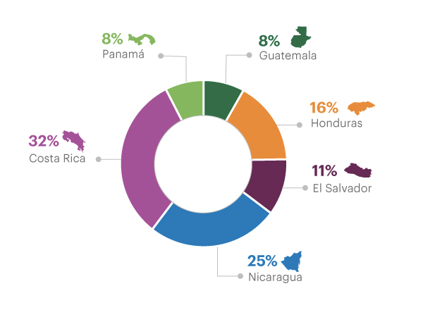 Distribución de clientes PyME con crédito por país 2016, Guatemala 8%, Honduras 16%, El Salvador 11%, Nicaragua 25%, Costa Rica 32%, Panamá 8%