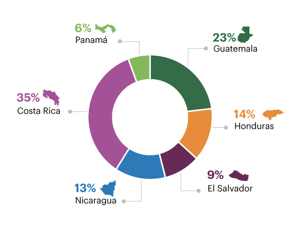 Distribución de clientes PyME participantes en capacitación por país 2016, Guatemala 23%, Honduras 14%, El Salvador 9%, Nicaragua 13%, Costa Rica 35%, Panamá 6%