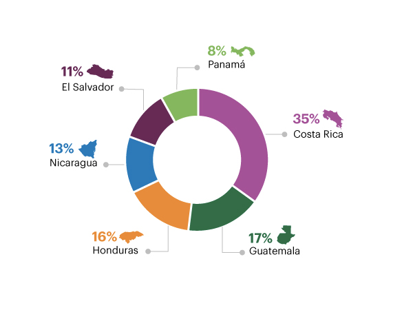 Distribución de clientes pyme por país, 2016, Costa Rica 35%, Guatemala 17%, Honduras 16%, Nicaragua 13%, El Salvador 11% y Panamá 8%