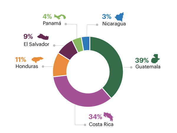 Distribución de horas de voluntariado por país, 2016, Guatemala 39%, Costa Rica 34%, Honduras 11% El Salvador 9%, Panamá 4%, Nicaragua 3%