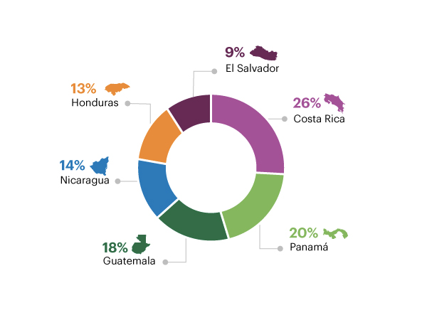 Distribución de voluntarios por país, 2016, El Salvador 9%, Costa Rica 26%, Panamá 20%, Guatemala 18%, Nicaragua 14%, Honduras 13%